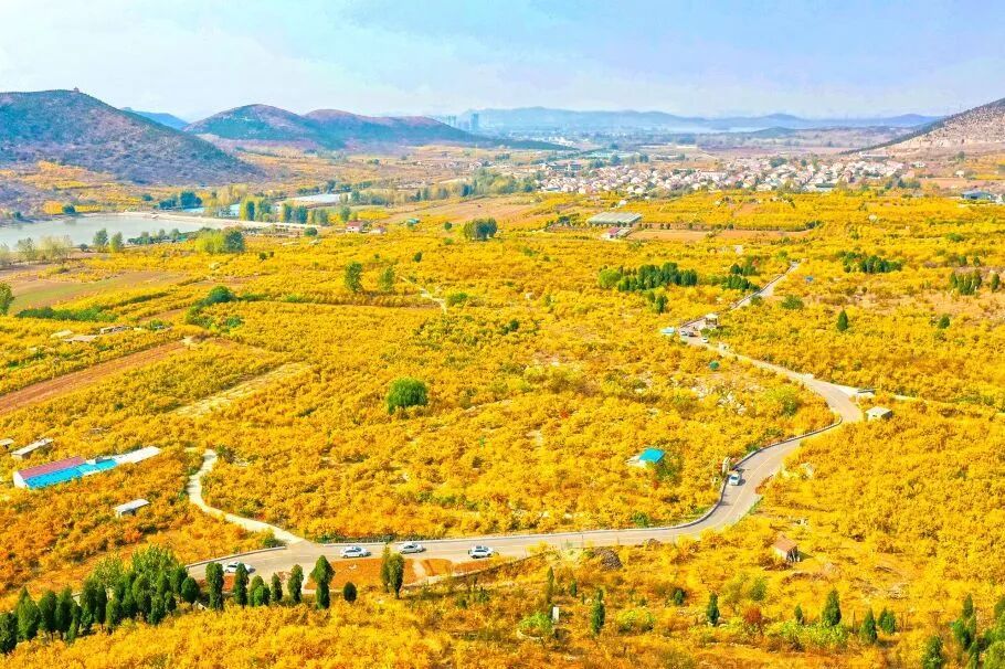 G7777次列车，出发！