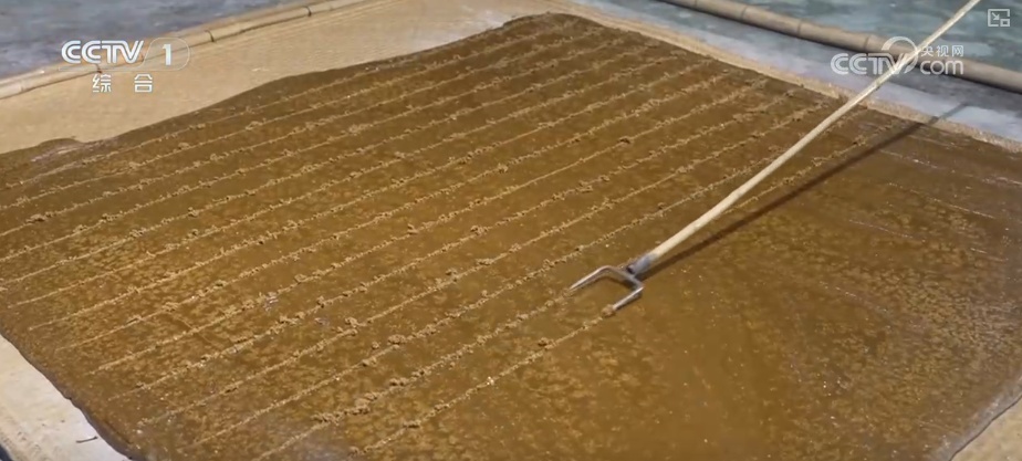 “冬至大如年，人间小团圆” 传统美食接连上桌满满家的味道