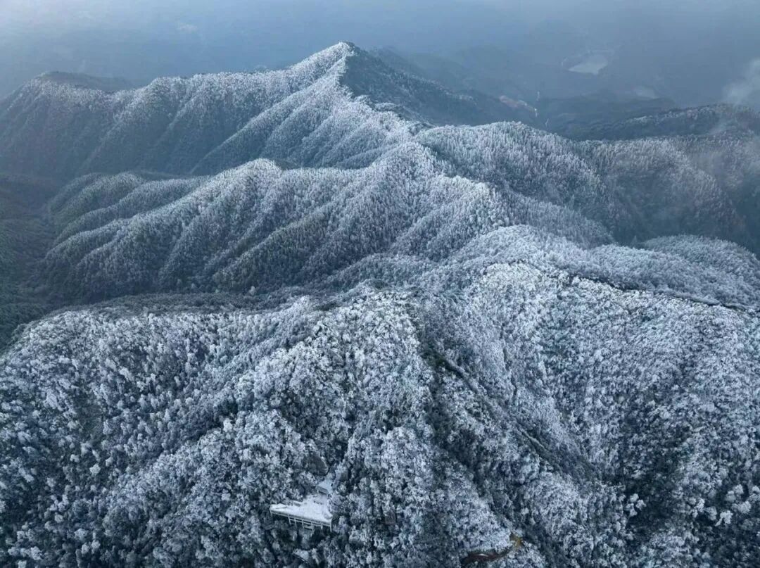 岭南节俗暖意浓，围炉共话烟火长
