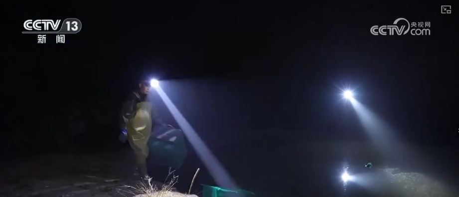 “鲜”链延伸撬动海洋经济新增长点 数字赋能让“娇贵”水产“鲜”行千里