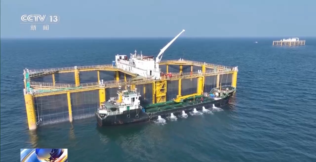 如何实现陆海接力养殖？揭秘三文鱼入海前的“必修课”