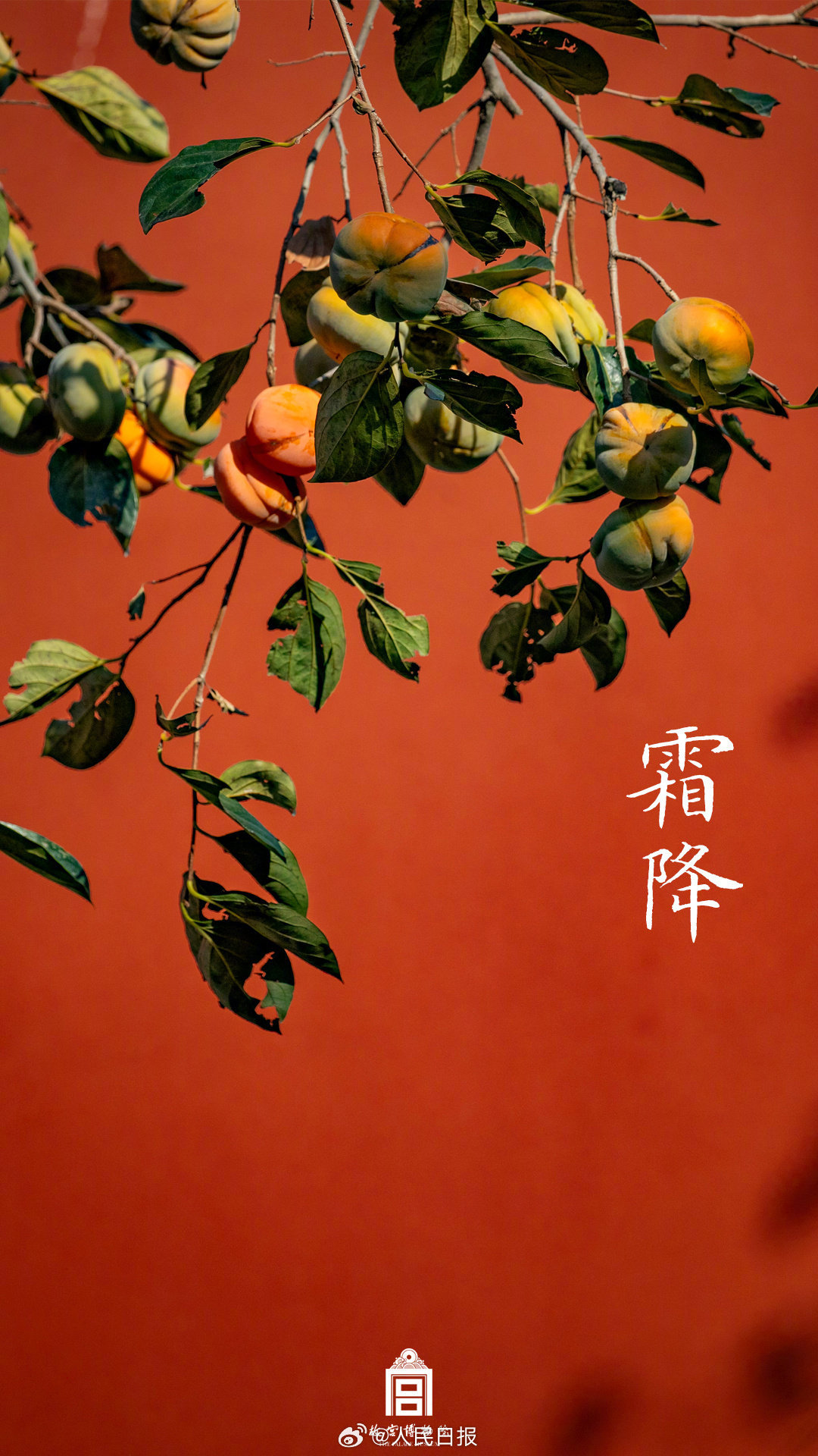 收藏！故宫节气壁纸一眼惊艳