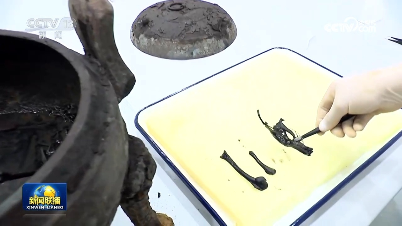 【文化中国行】武王墩考古重大发现再现楚国礼乐文明