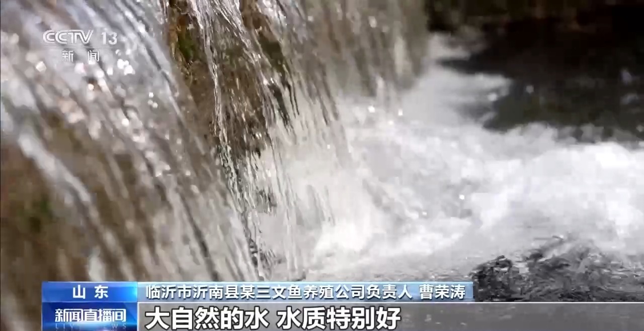 如何实现陆海接力养殖？揭秘三文鱼入海前的“必修课”