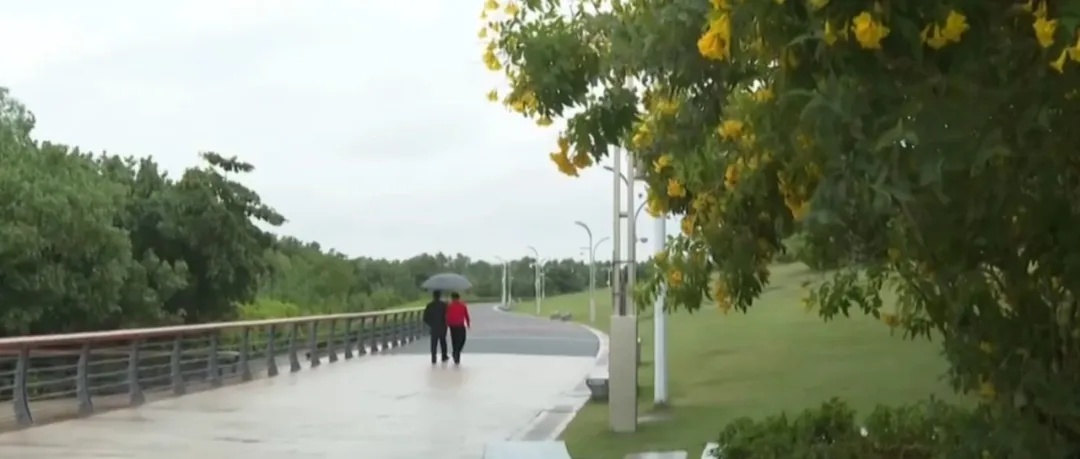 新一股冷空气到货！12月了气温还在“2字头”，广东还能入冬吗？