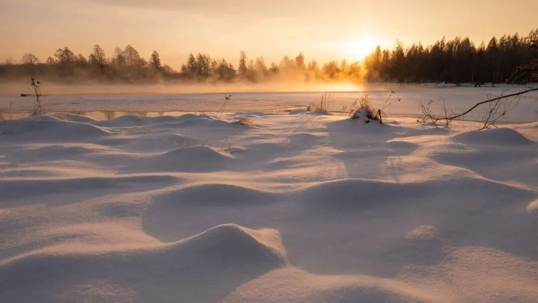 冬至大如年，建议你吃这几种饺子馅儿！