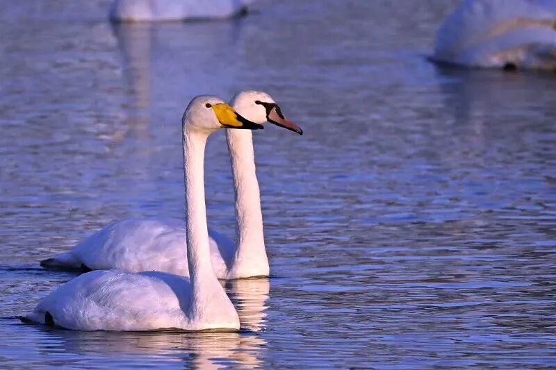 2025年最后一个节气，来啦！