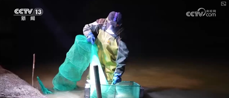 “鲜”链延伸撬动海洋经济新增长点 数字赋能让“娇贵”水产“鲜”行千里