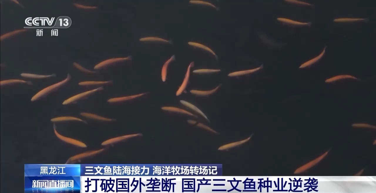 如何实现陆海接力养殖？揭秘三文鱼入海前的“必修课”