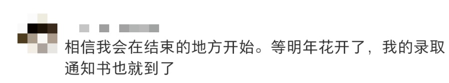 “等我考完研了，我就……”