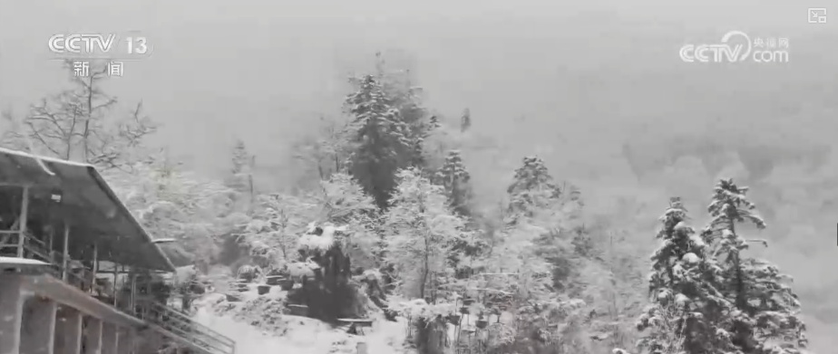 多部门协同联动、细化服务清冰除雪“保”畅通 护航百姓平安出行