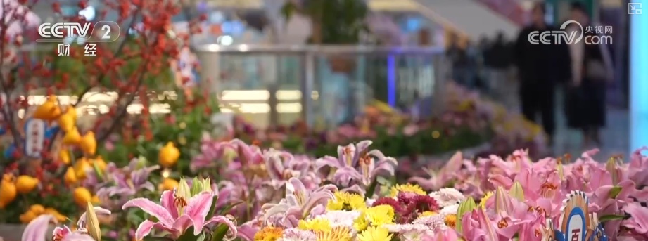 创意IP绘就冬日文旅消费新图景 花样新“夜”态赋能推升夜经济热力值