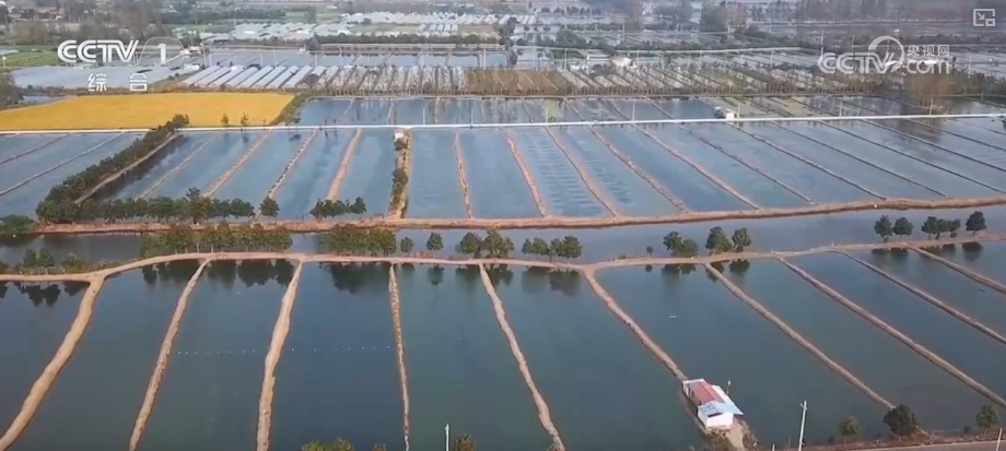 从创新能力提升到应用场景拓宽 智慧赋能让农业生产更“聪明”焕发蓬勃生机