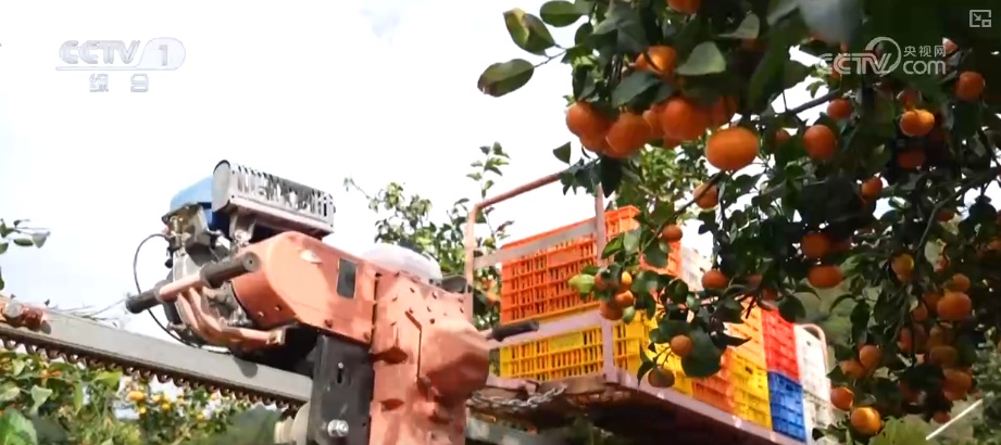 从创新能力提升到应用场景拓宽 智慧赋能让农业生产更“聪明”焕发蓬勃生机