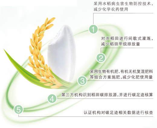 一粒大米的碳中和之旅，要走几步？