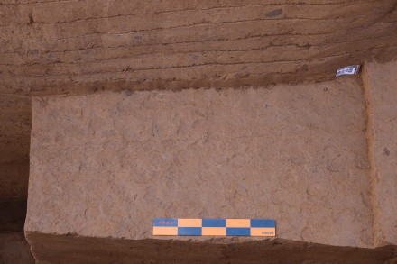 阿房宫考古有新发现