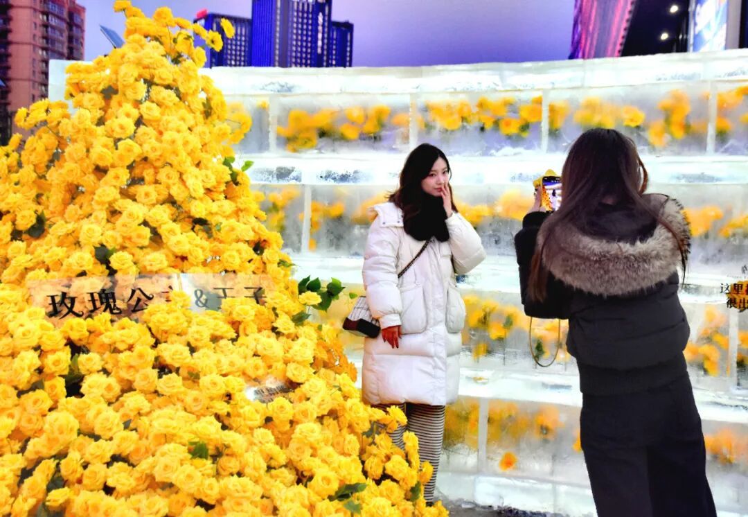 太出片啦！冰封玫瑰“绽放”哈尔滨街头，快去打卡吧！