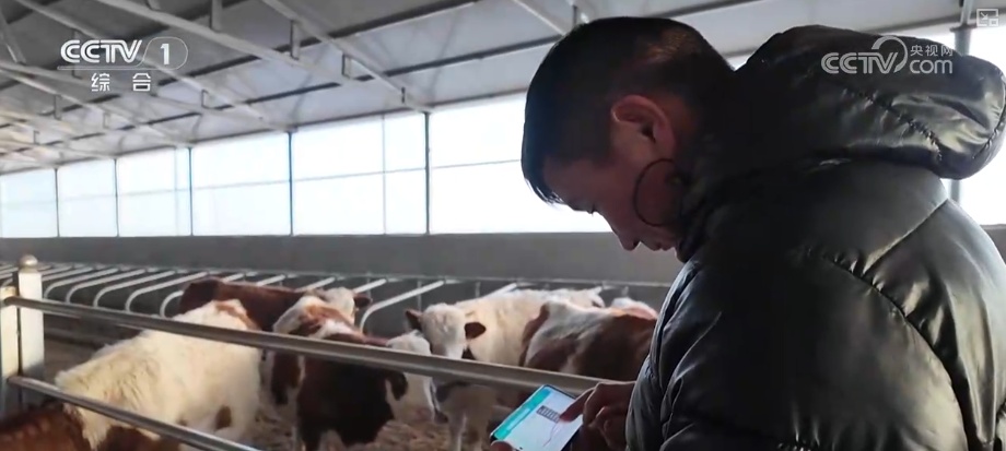 从创新能力提升到应用场景拓宽 智慧赋能让农业生产更“聪明”焕发蓬勃生机