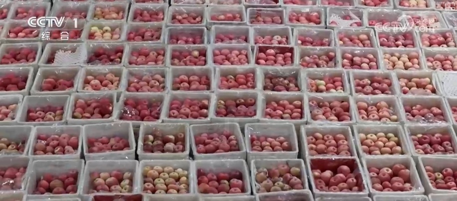 从创新能力提升到应用场景拓宽 智慧赋能让农业生产更“聪明”焕发蓬勃生机