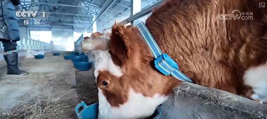 从创新能力提升到应用场景拓宽 智慧赋能让农业生产更“聪明”焕发蓬勃生机