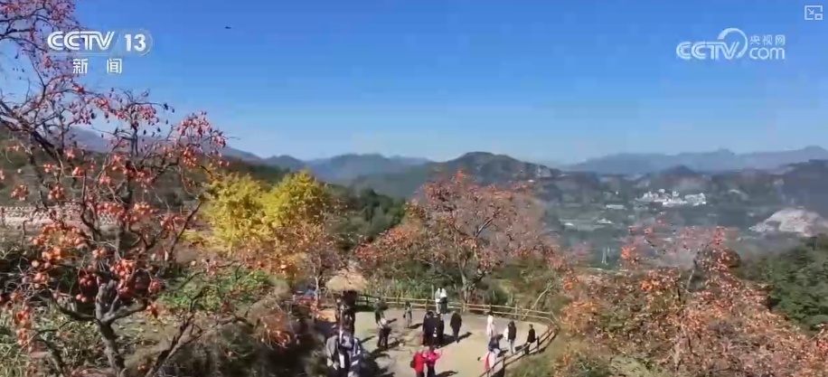 古人的“天气预报”还管用吗？用气象大数据解析古人智慧总结发现意外惊喜