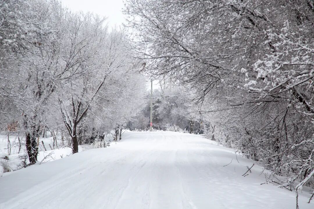 注意！北方大部将迎降雪！