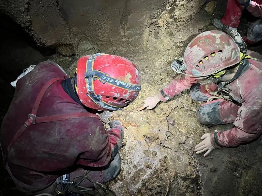 10万年前的大熊猫，长啥样？