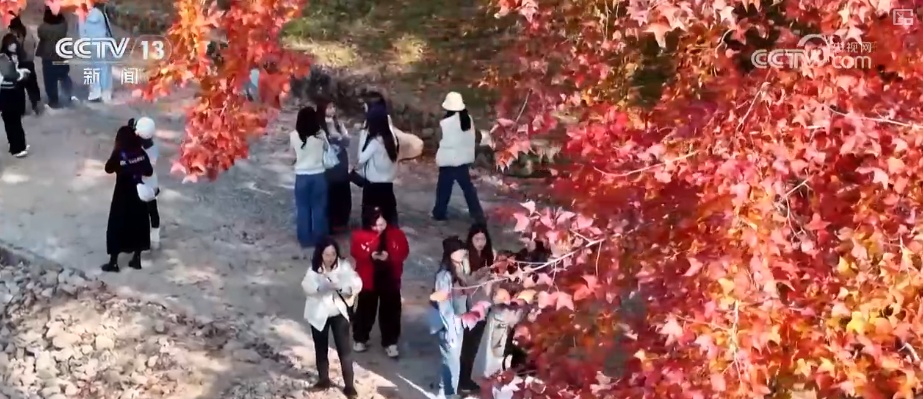 古人的“天气预报”还管用吗？用气象大数据解析古人智慧总结发现意外惊喜