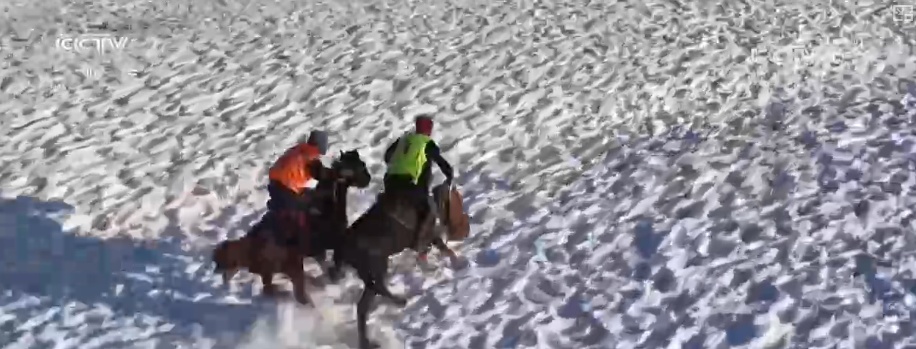 “冰雪+科考”“极寒躺冰” 特色玩法“上新”助力“冷”资源“热力全开”