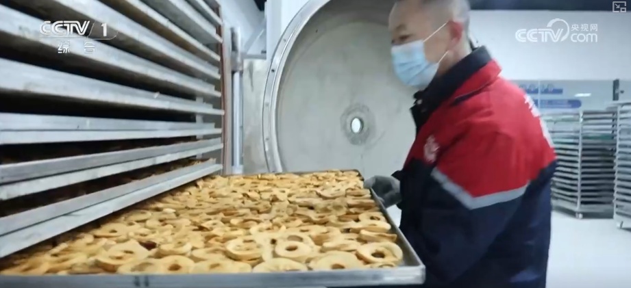 从创新能力提升到应用场景拓宽 智慧赋能让农业生产更“聪明”焕发蓬勃生机