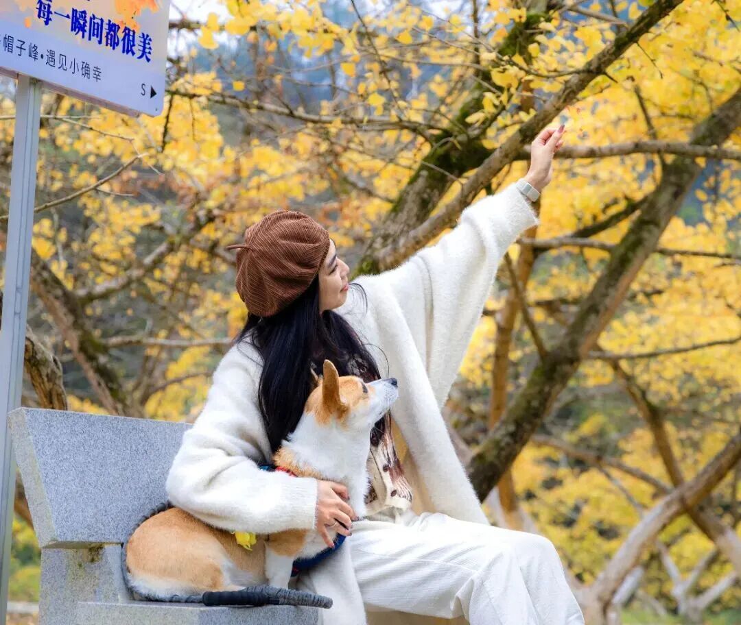 美“枫”了！已进入最佳观赏期，广东人赶紧冲