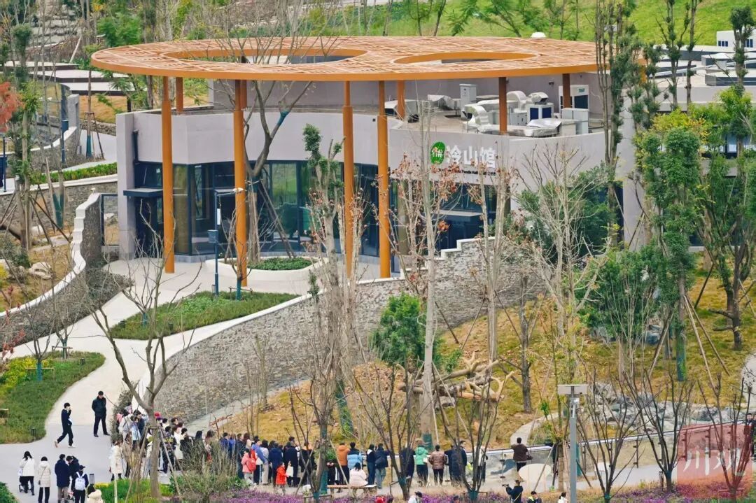 12月29日试运行！四川又增一处看大熊猫打卡地，游玩攻略→