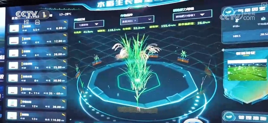 从创新能力提升到应用场景拓宽 智慧赋能让农业生产更“聪明”焕发蓬勃生机