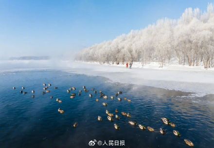 今冬全国赏雾凇地图来了