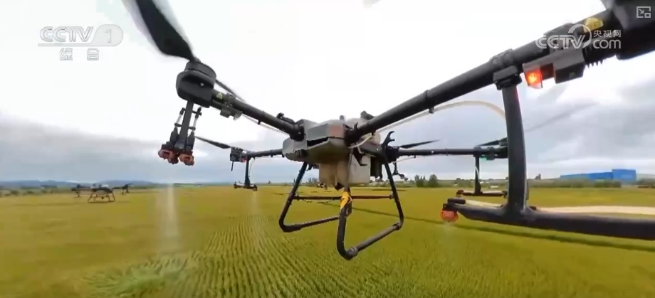 从创新能力提升到应用场景拓宽 智慧赋能让农业生产更“聪明”焕发蓬勃生机