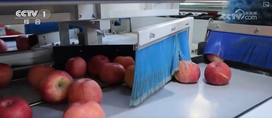 从创新能力提升到应用场景拓宽 智慧赋能让农业生产更“聪明”焕发蓬勃生机