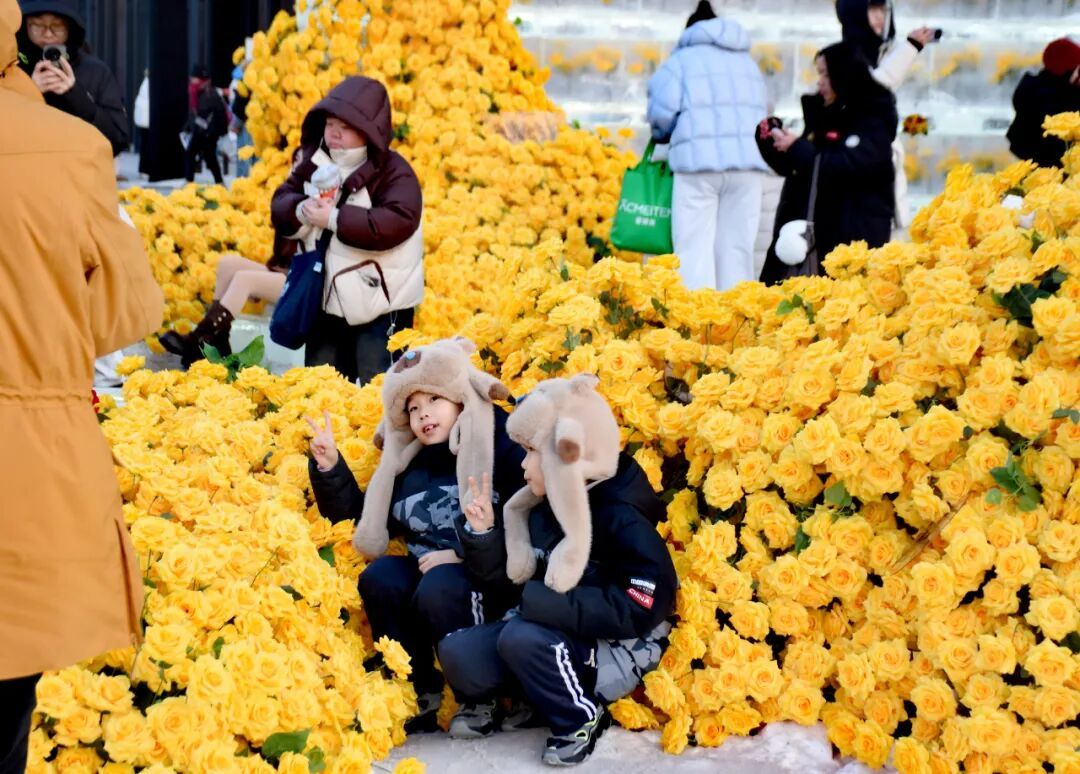 太出片啦！冰封玫瑰“绽放”哈尔滨街头，快去打卡吧！
