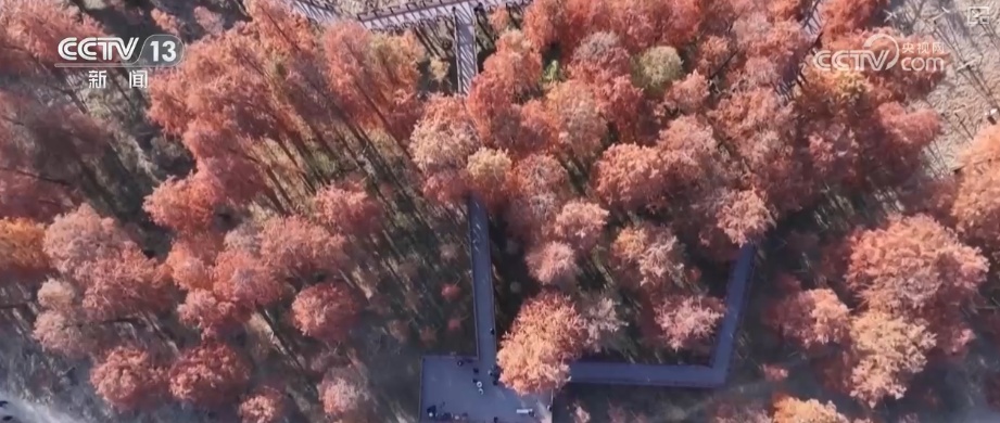 古人的“天气预报”还管用吗？用气象大数据解析古人智慧总结发现意外惊喜