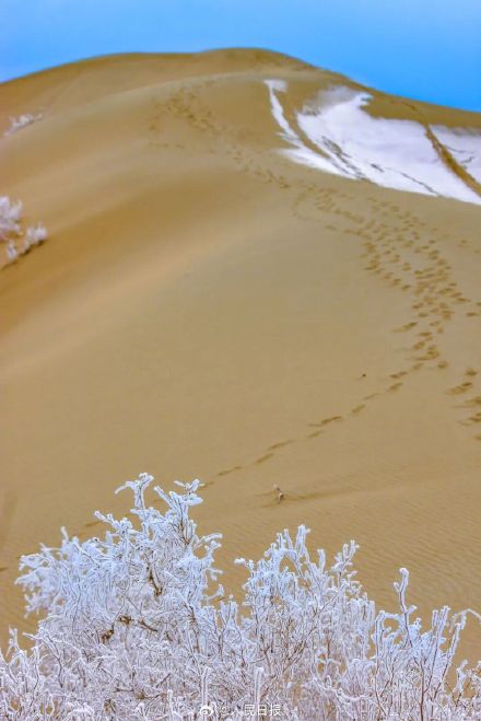 今冬全国赏雾凇地图来了