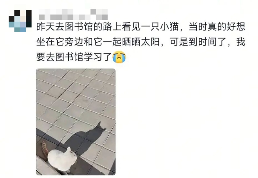 “等我考完研了，我就……”