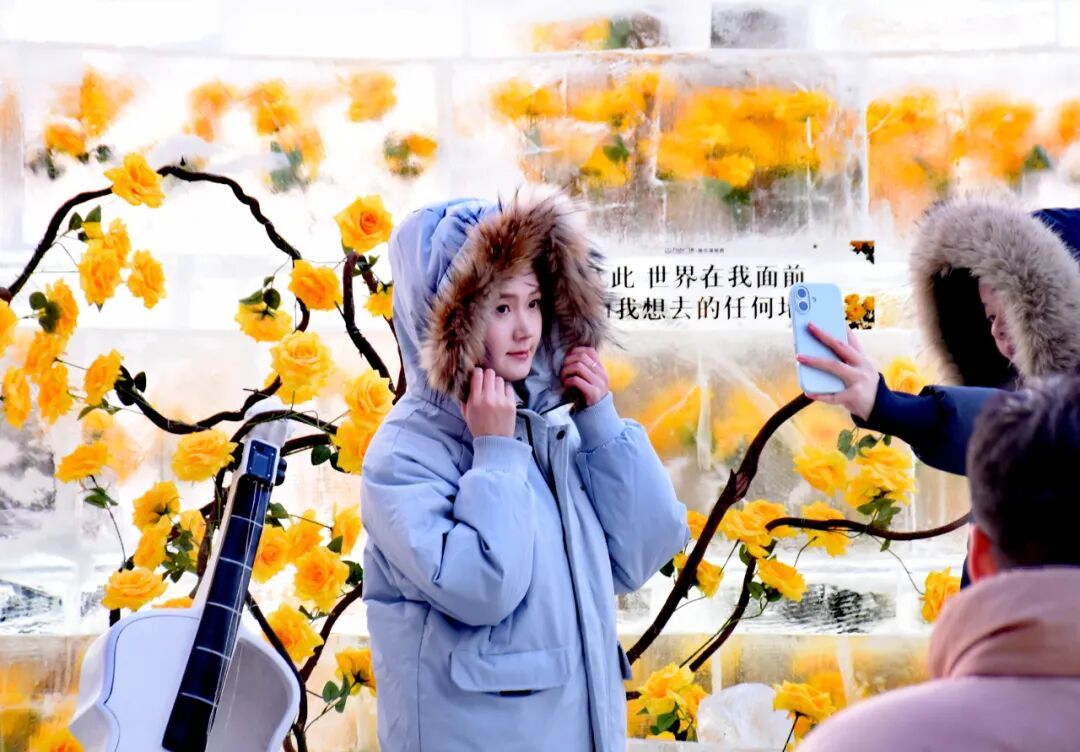 太出片啦！冰封玫瑰“绽放”哈尔滨街头，快去打卡吧！