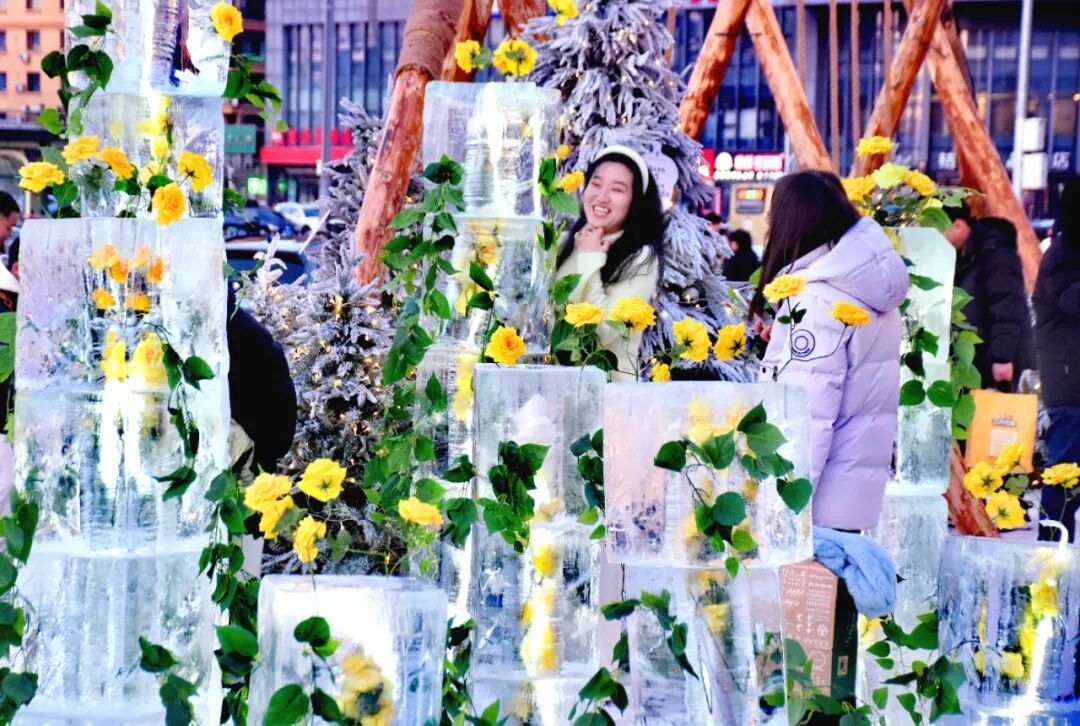 太出片啦！冰封玫瑰“绽放”哈尔滨街头，快去打卡吧！