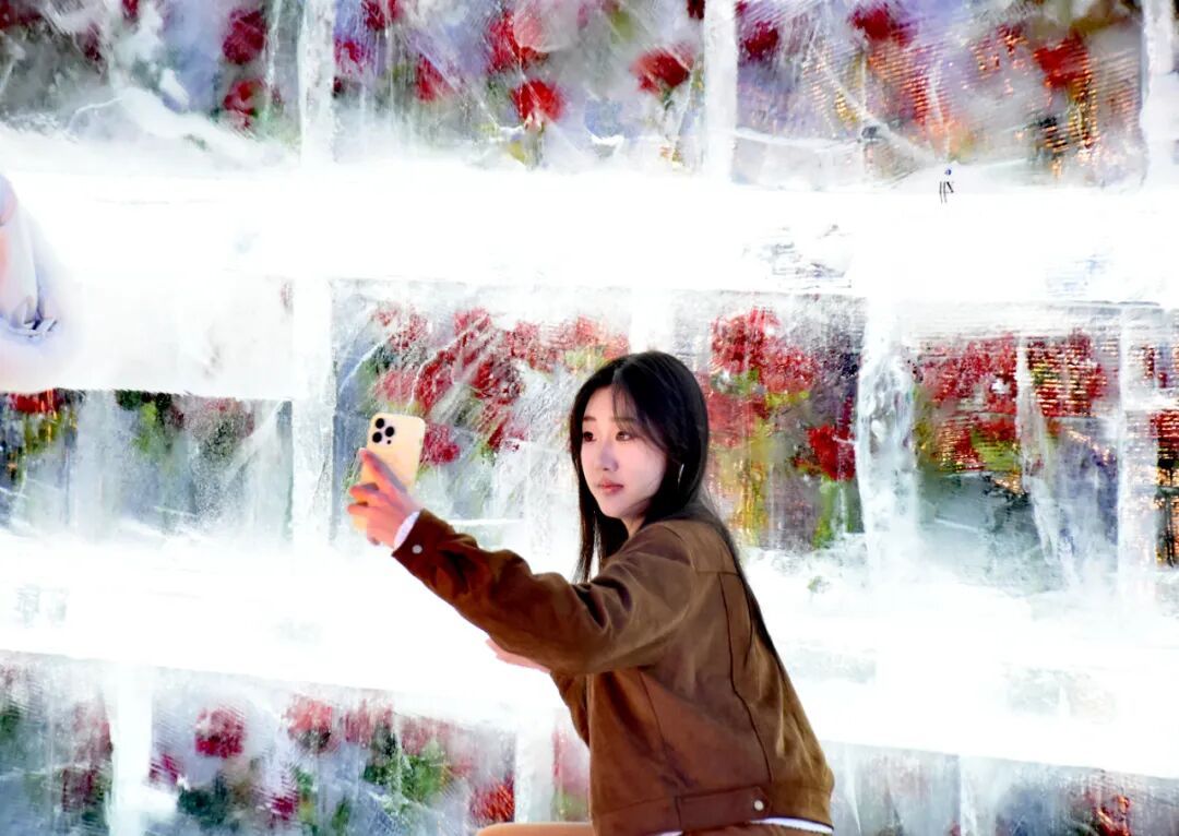 太出片啦！冰封玫瑰“绽放”哈尔滨街头，快去打卡吧！