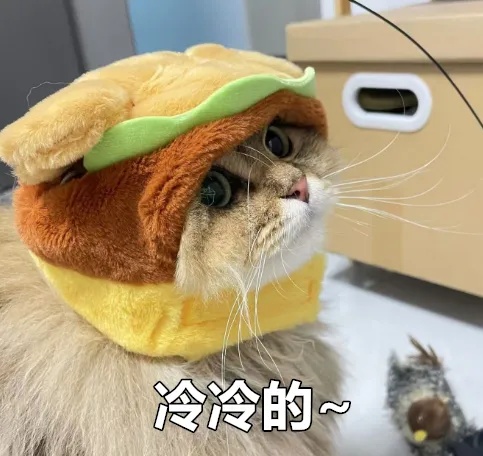 雨雪今起“上线”！最寒冷的阶段要来了，烟台最低气温-8℃！