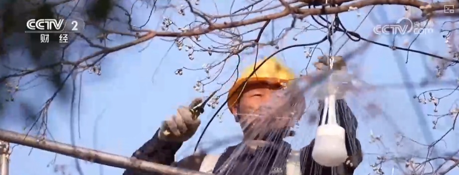 多元化、沉浸式体验添彩“跨年经济” “新意+巧思”让消费活力持续迸发