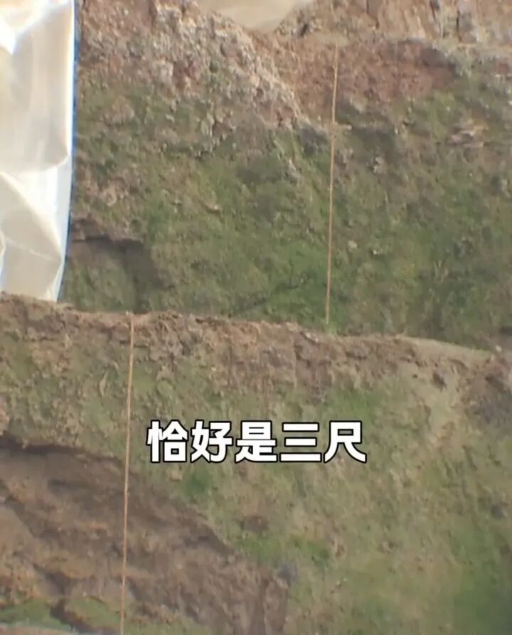 武王墩大墓中不起眼的“小竹条” 竟藏着千年文化密码