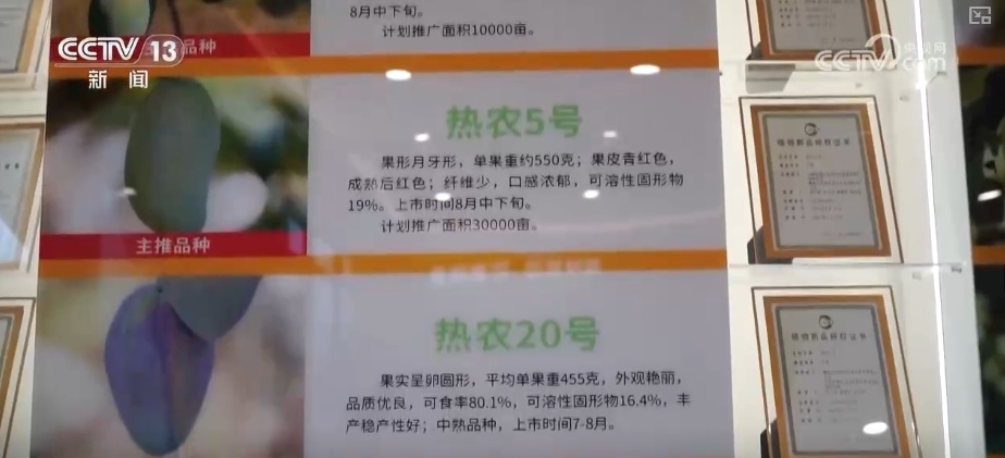 从产业转型、乡村振兴到民生保障多维度观察高质量发展与共同富裕协同并进