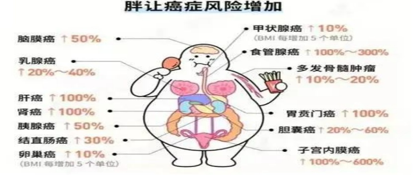 体重超标如何成为癌症的“隐形推手”？
