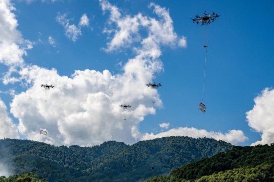 不修路少砍树，百亩雨林保住了——中老电力联网工程建设上演“高空芭蕾”