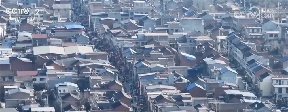 年宵花抢“鲜”上市、百年大集购销两旺 节日市场物丰价稳消费活跃